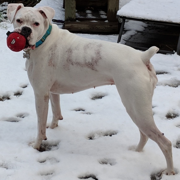 Click Here for Details - Picture 6 of 6